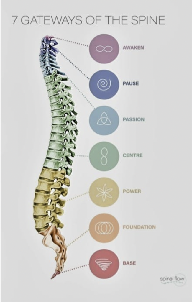 Spinal Flow Technique